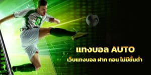 Read more about the article แทงบอลauto