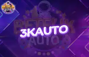 Read more about the article 3kauto